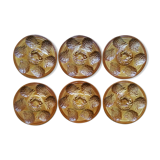 6 oyster plates