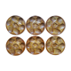 6 oyster plates