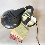 Japanese Designer goose neck desk lamp by Kyoji Tanaka