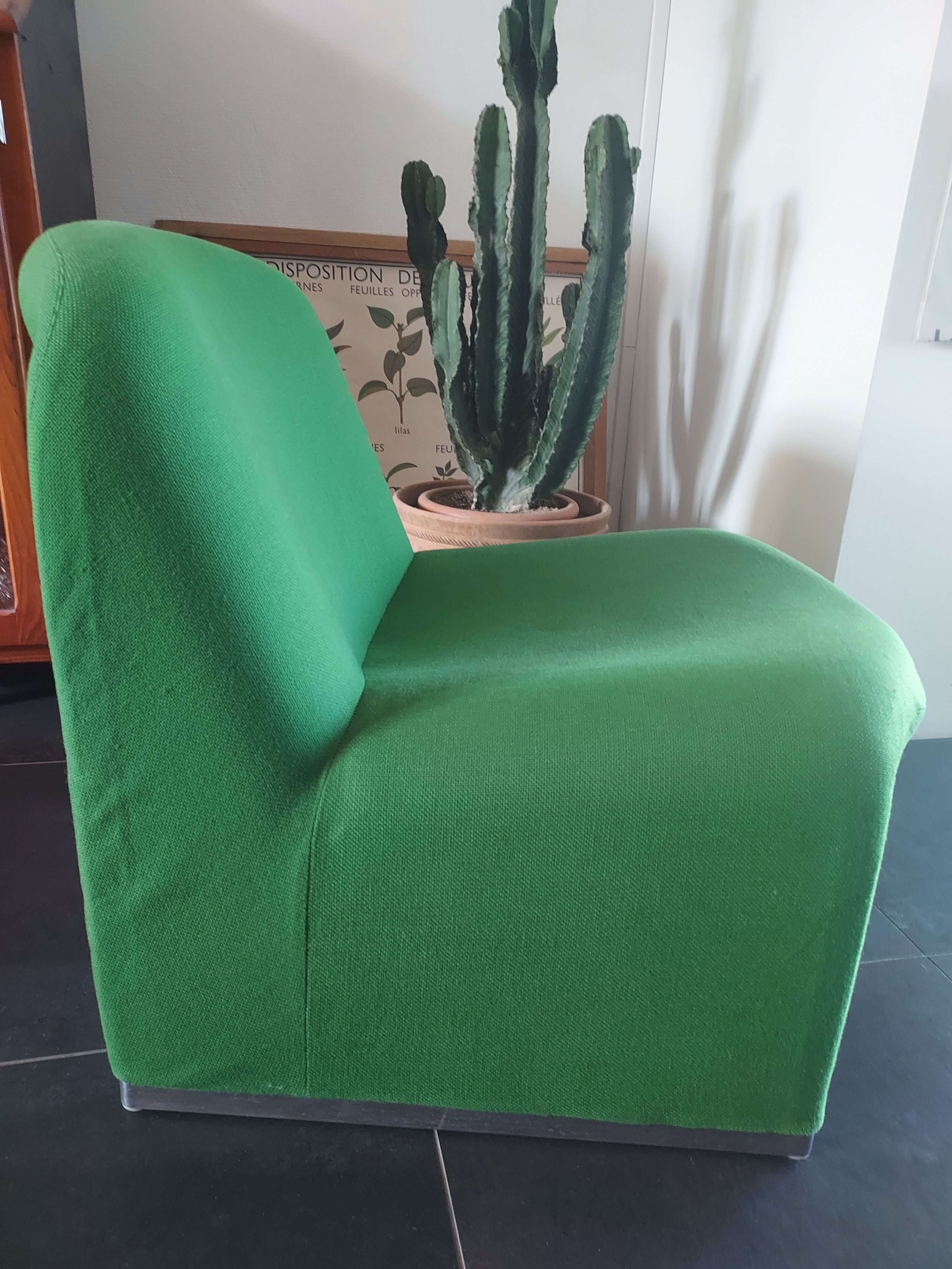 Alky armchair by Giancarlo Piretti for Castelli