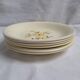 Vintage Salins deep plates