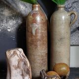 Free form sculpture in fossil wood