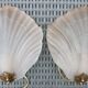 Pair of wall lamps in glass paste and brass, art deco, scallop shell by Mariner S.A.
