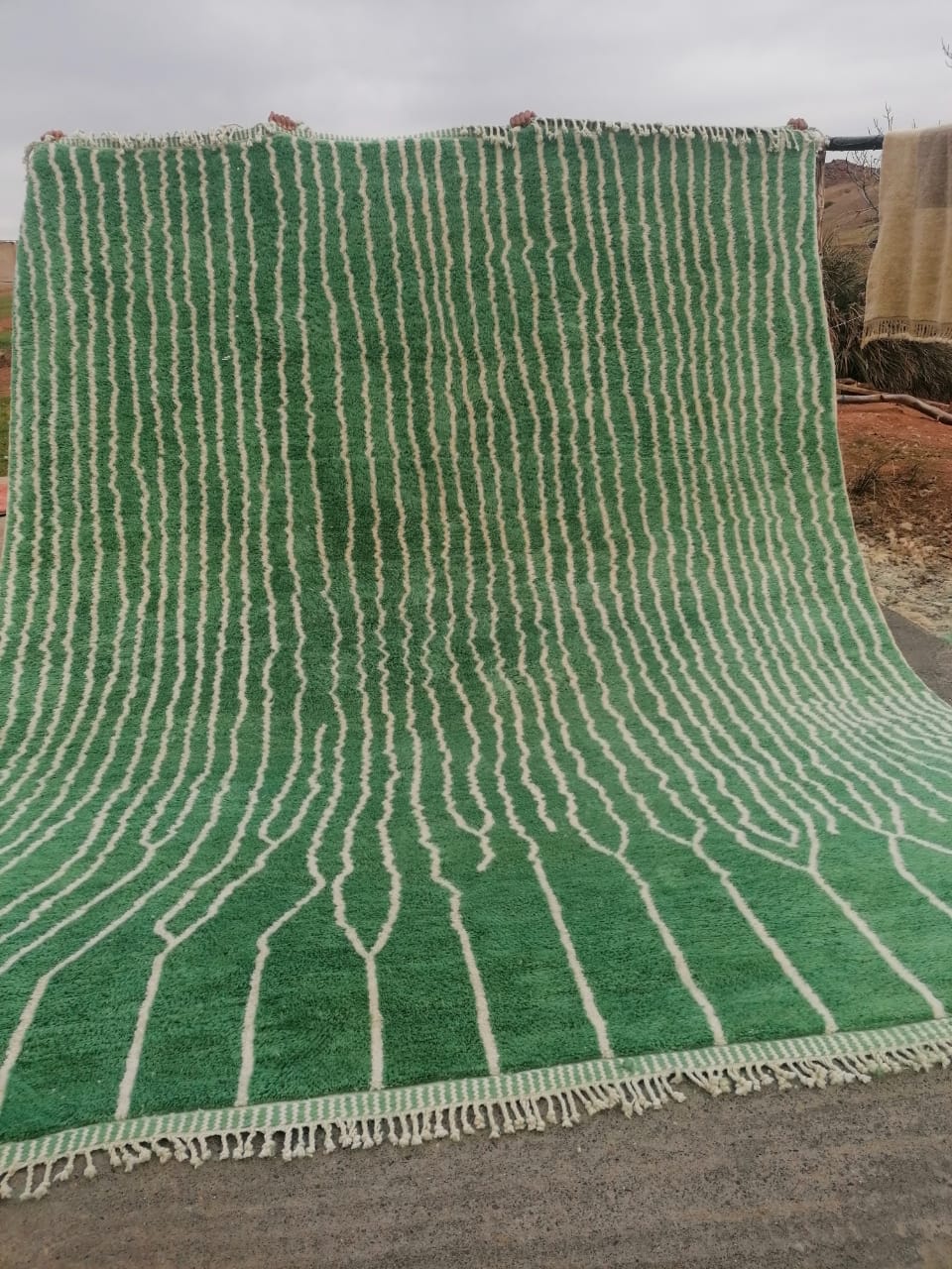 Authentic Green Berber Carpet Handmade 300x365