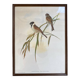 Large ornithological board