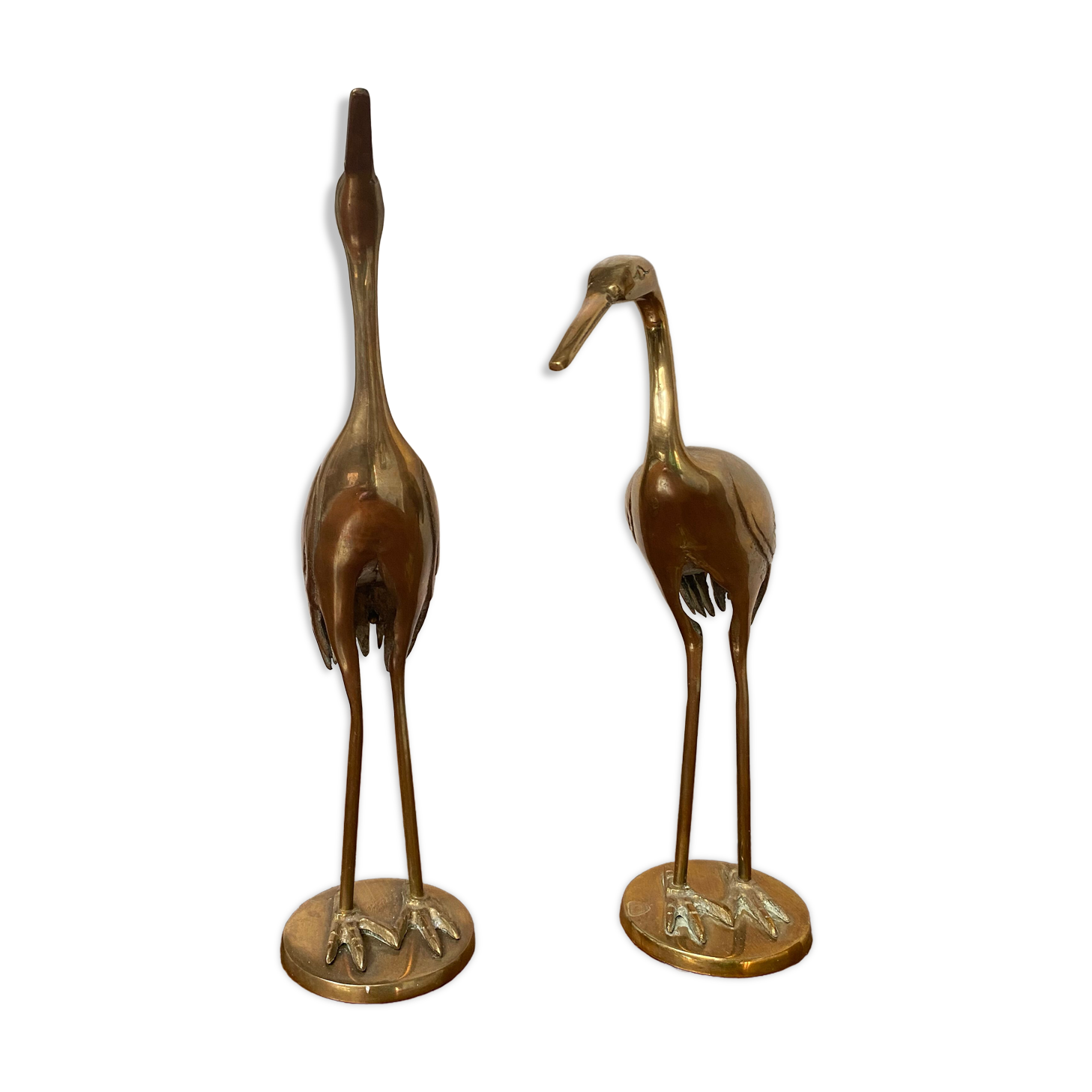 Herons laiton