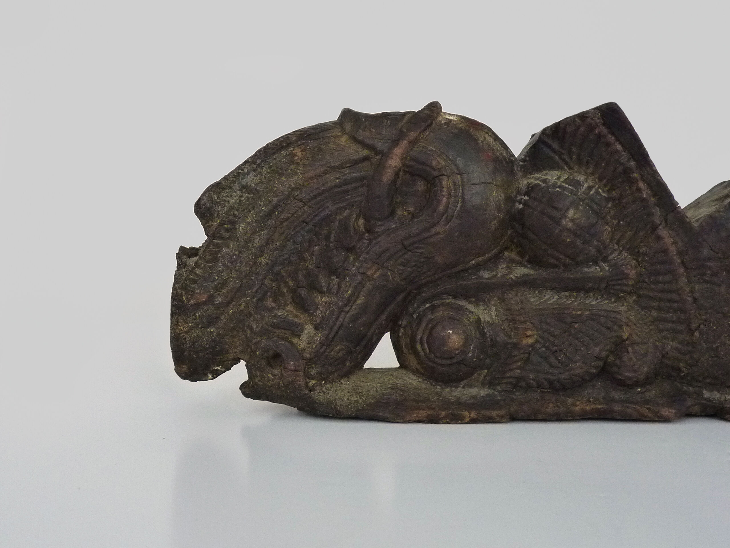 Piece of Indonesian wooden basrelief, chameleon. XIXth