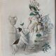 Framed engravings "animated flowers" - JJ Grandville