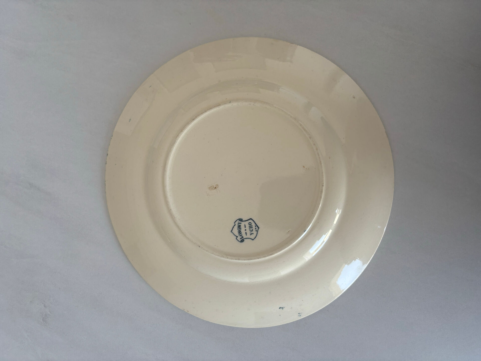 Flat plate iron earth Longwy model Ycho - blue flower faience ja