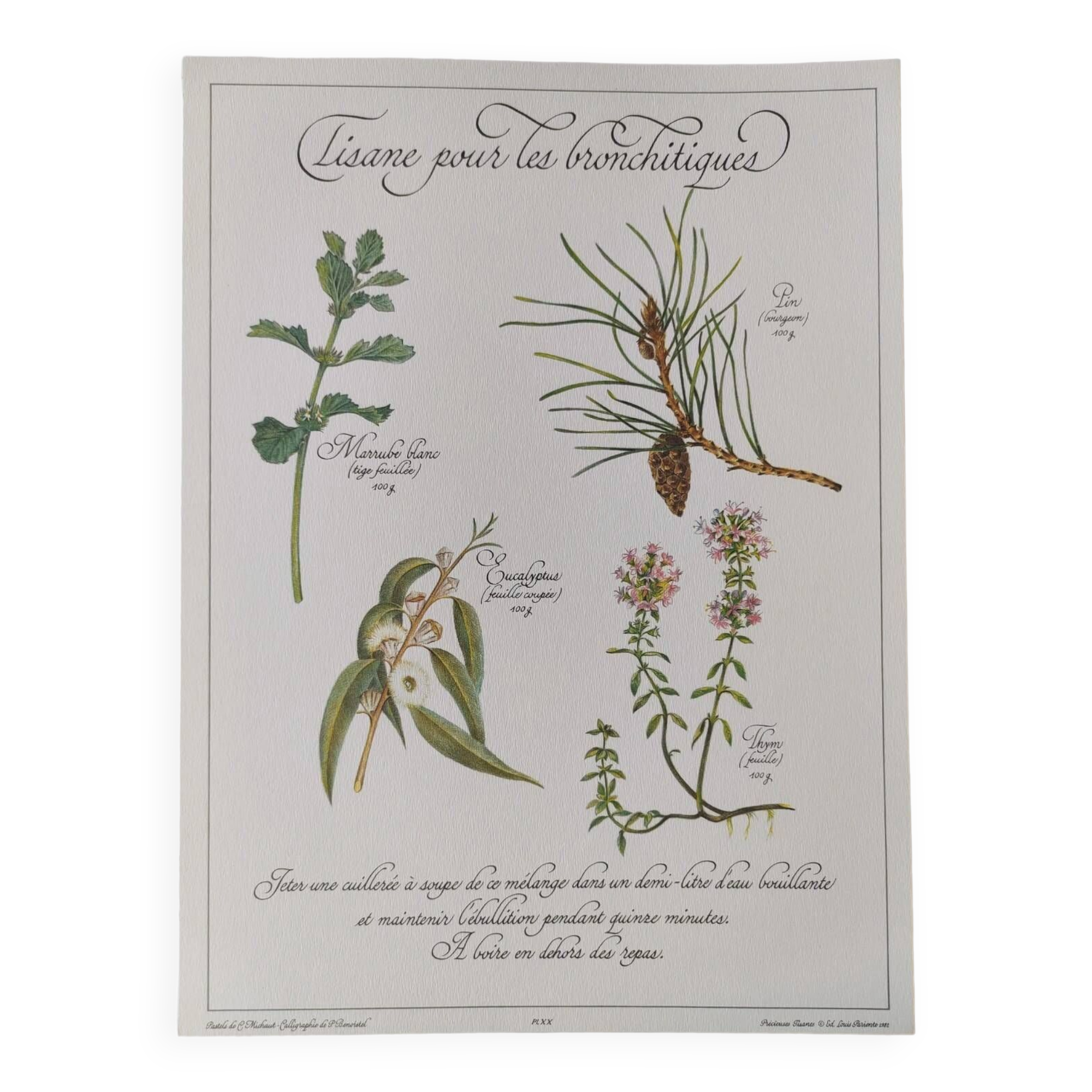 Botanical printing -Catarrh herbal tea- Engraving of medicinal plants and herbs