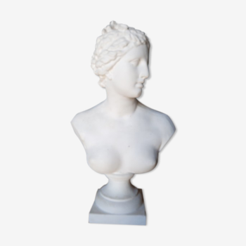 Large flat bust of Venus