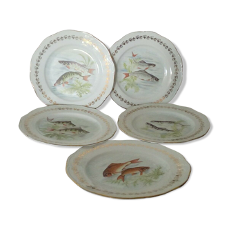 5  assiettes de service a poisson en porcelaine de france digoin n*2