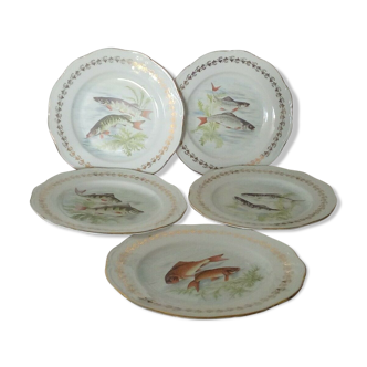 5 plates of fish serving in porcelain of france digoin n*2