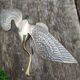 Brass wading bird
