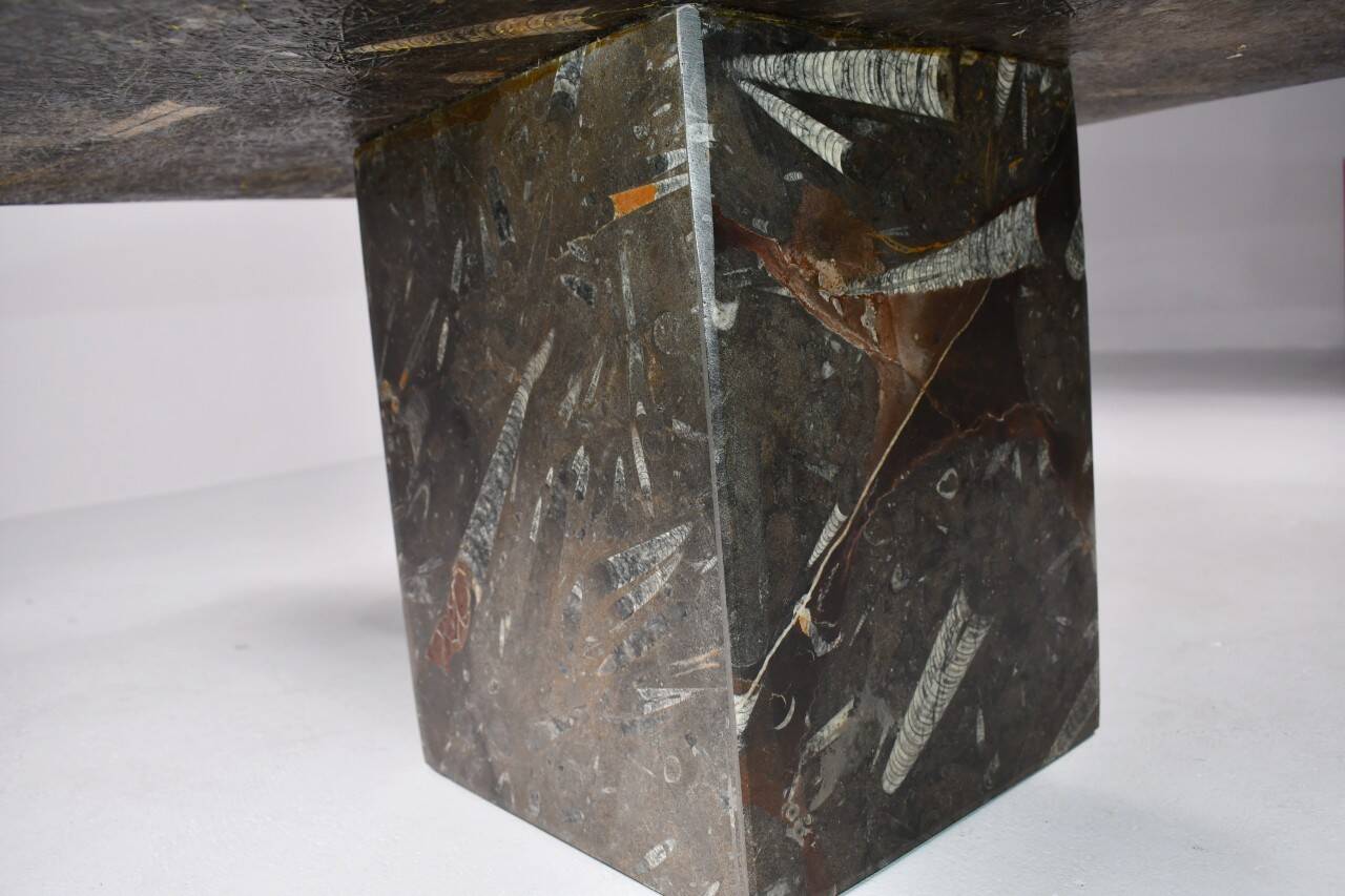 Vintage fossilized stone coffee table