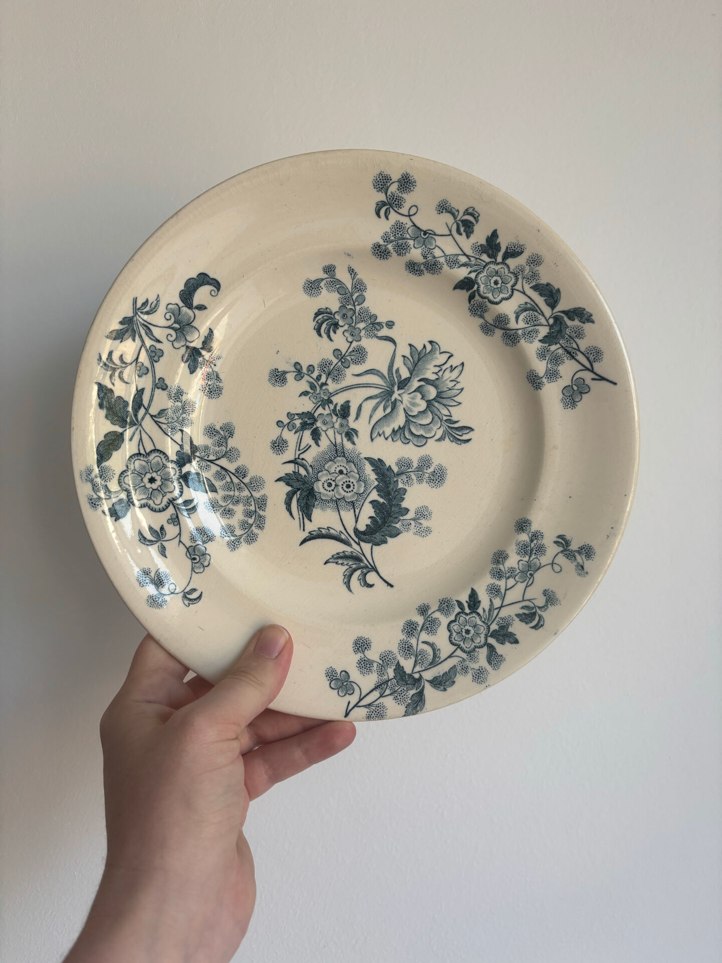 Flat plate iron earth Longwy model Ycho - blue flower faience ja