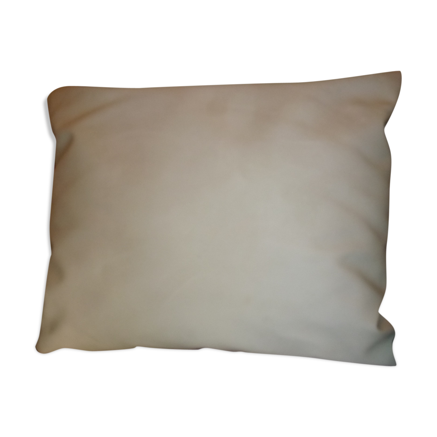 Coussin blanc