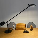 Fase Swan desk lamp, vintage Spanish design, 70s
