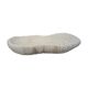 Ancient white coral shell