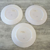 3 old majolica plates from montelupo signature hand decor