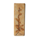 Ceramic vase, herbarium décor, Raymonde Leduc Vallauris
