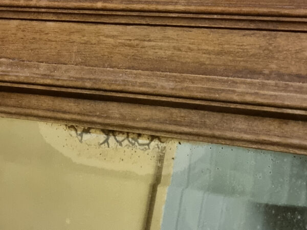 Miroir Trumeau, Henri II, début XXème, chêne et miroir biseauté
