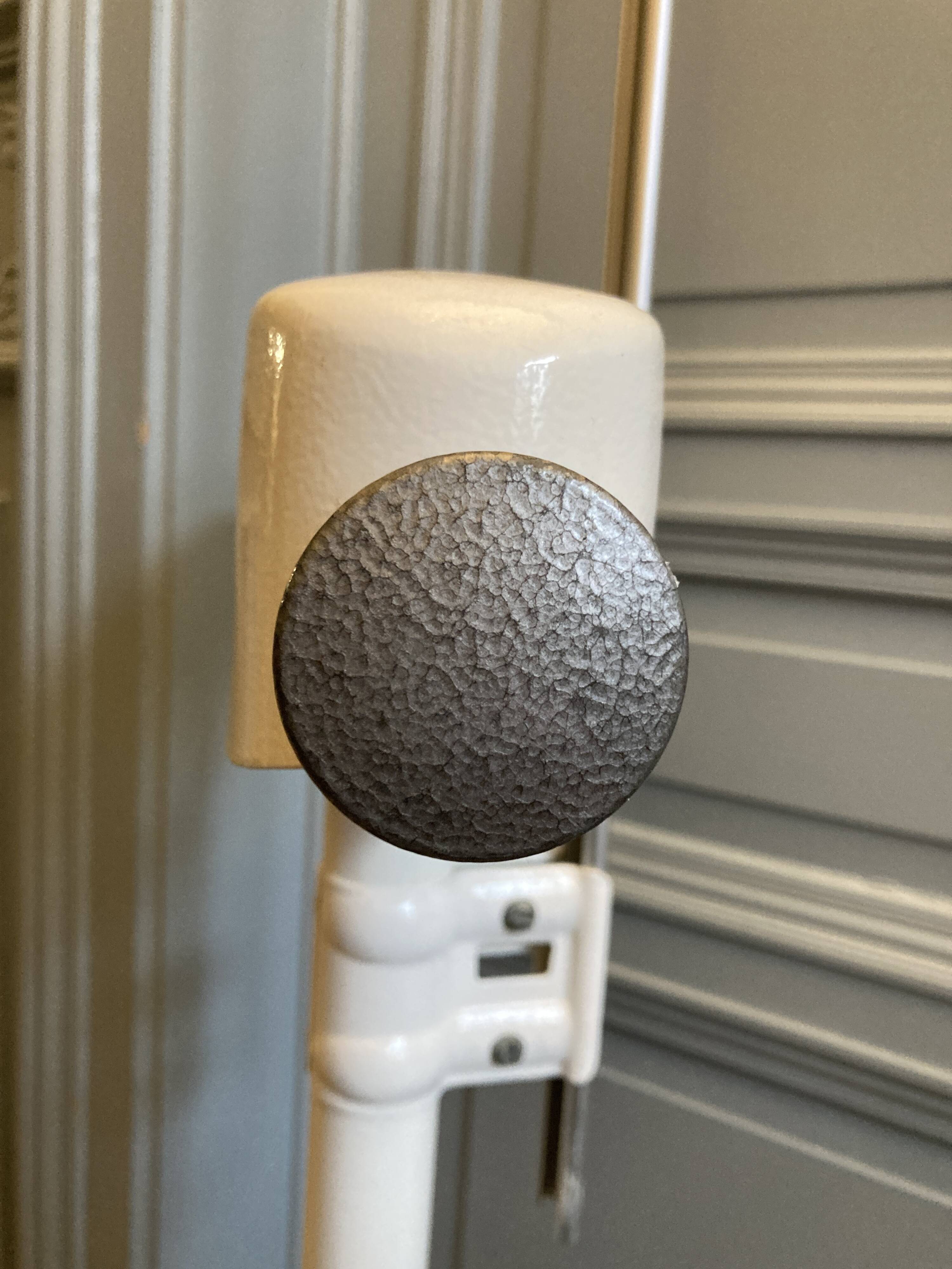 Personal scale and medicine measuring rod