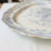 Grand plat ancien anglais « Asiatic Pheasants » – XIXe siècle