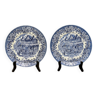 Pair of Royal Tudor Ware plates.