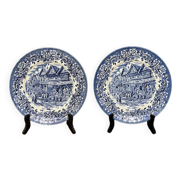Paire d'assiettes Royal Tudor Ware.