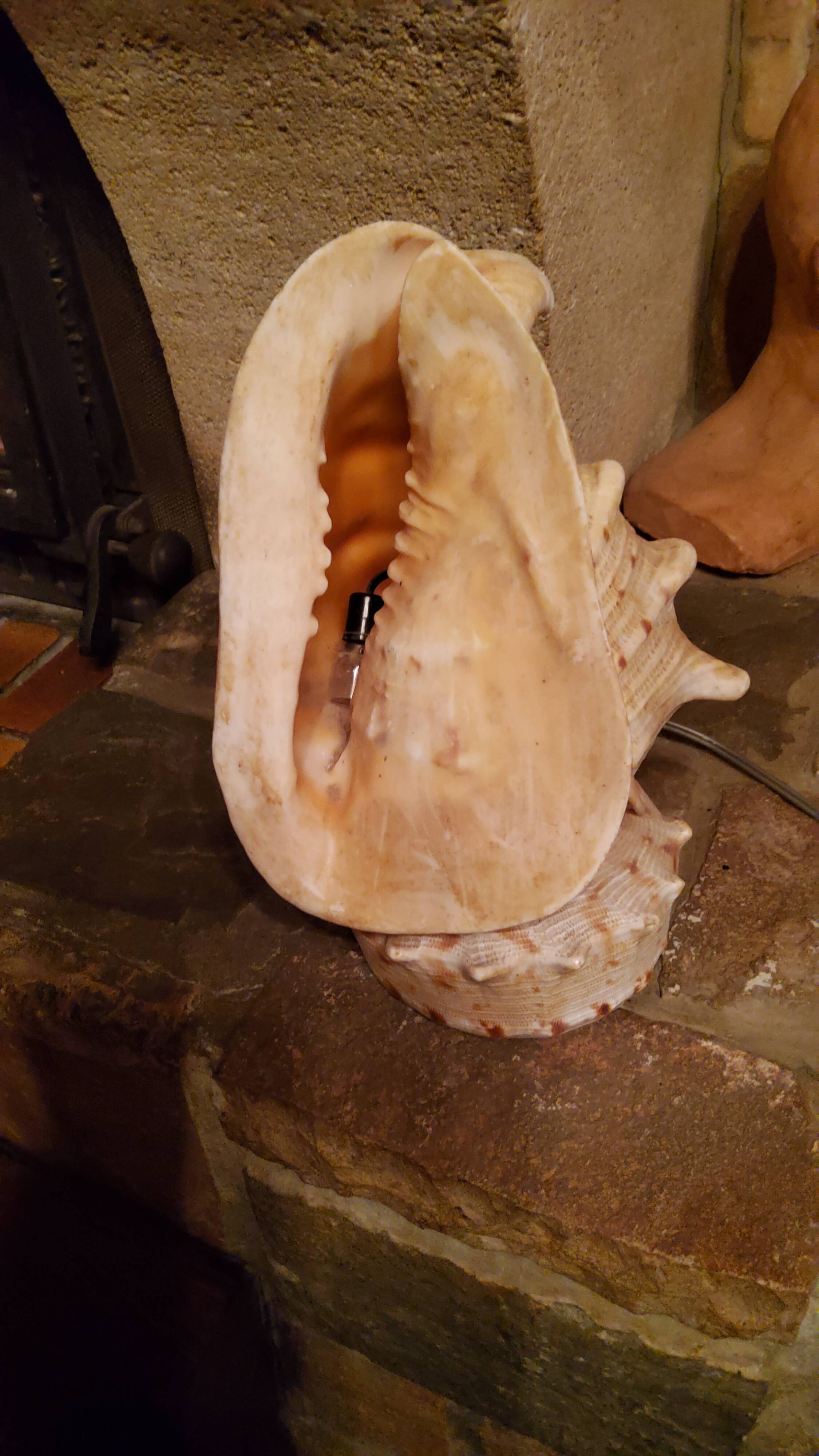 Shell lamp from the 50s