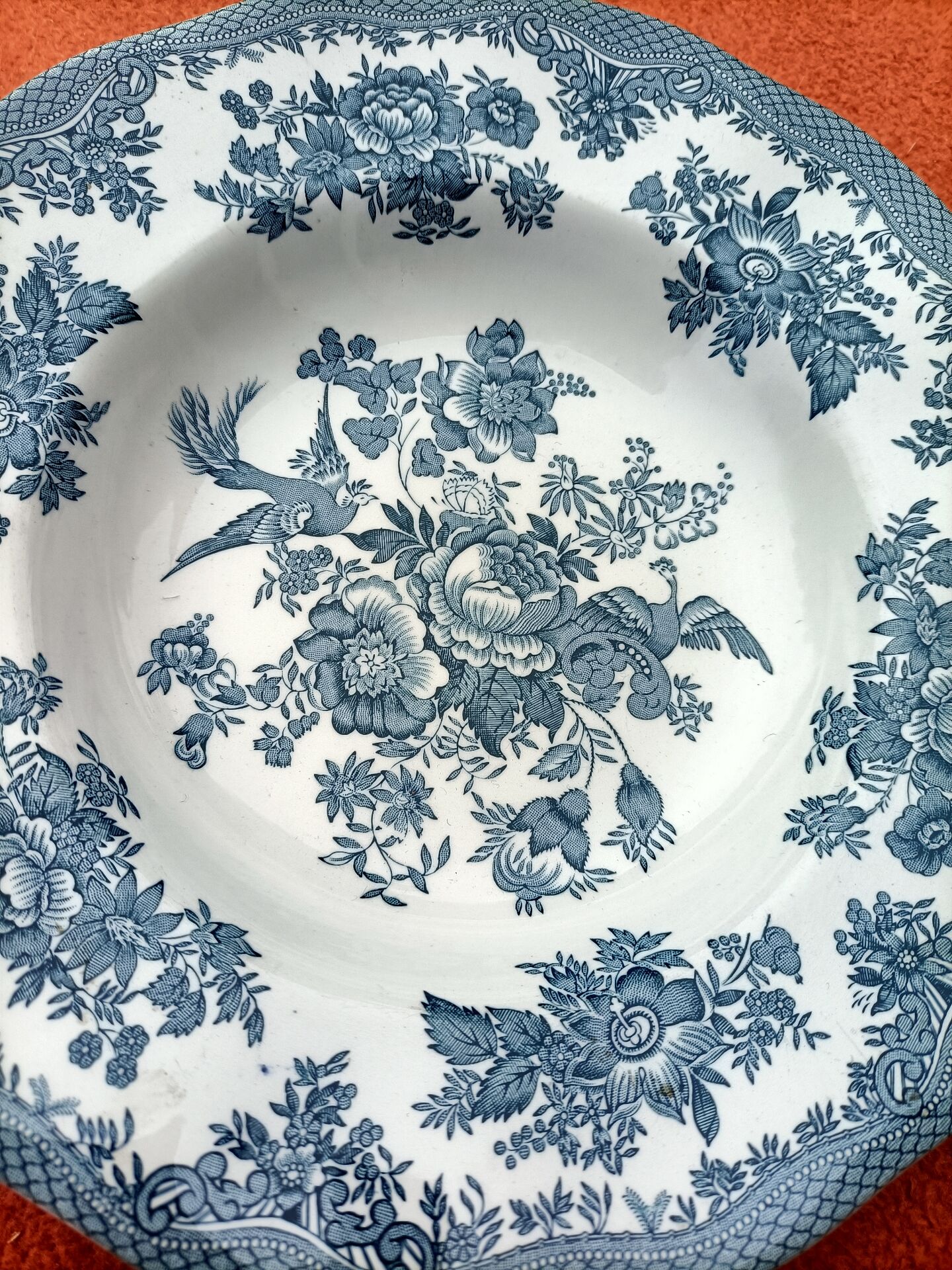 Retro deep plate