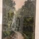 Enhanced Lithographic Engraving Path Under Wood Forest Tree Landscape Gilded
