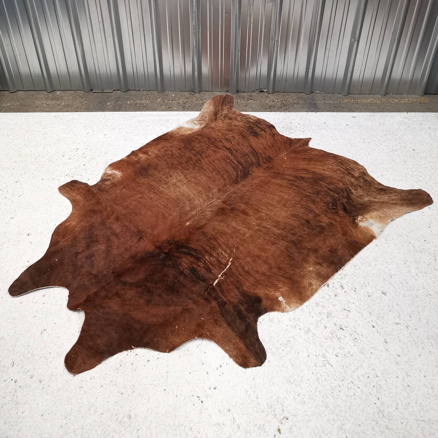 Large Zebu cowhide / rug, Brazil