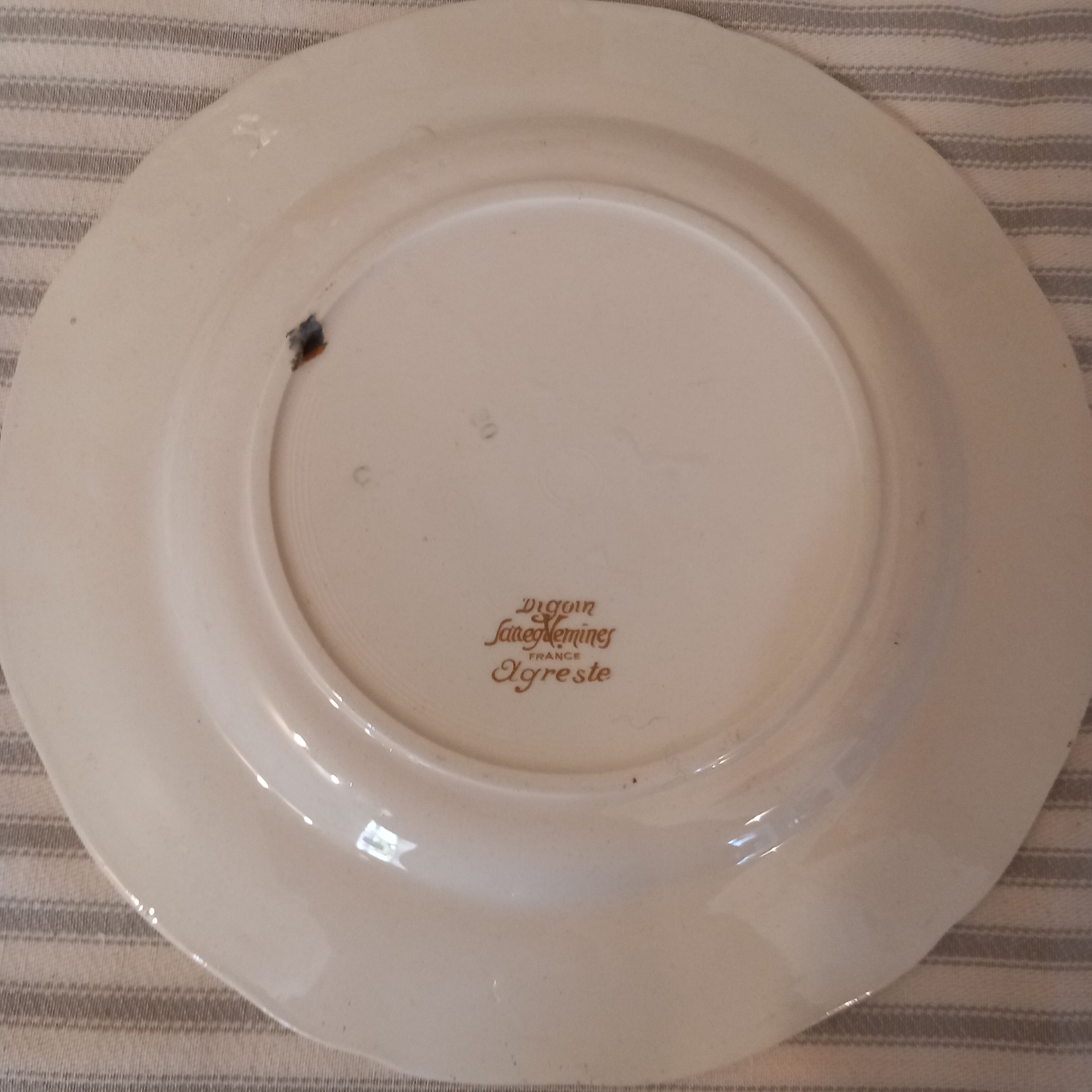 Digoin Sarreguemines plate