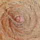 Parasol pendant lamp in braided natural fiber doum straw