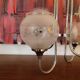 Vintage chandelier
