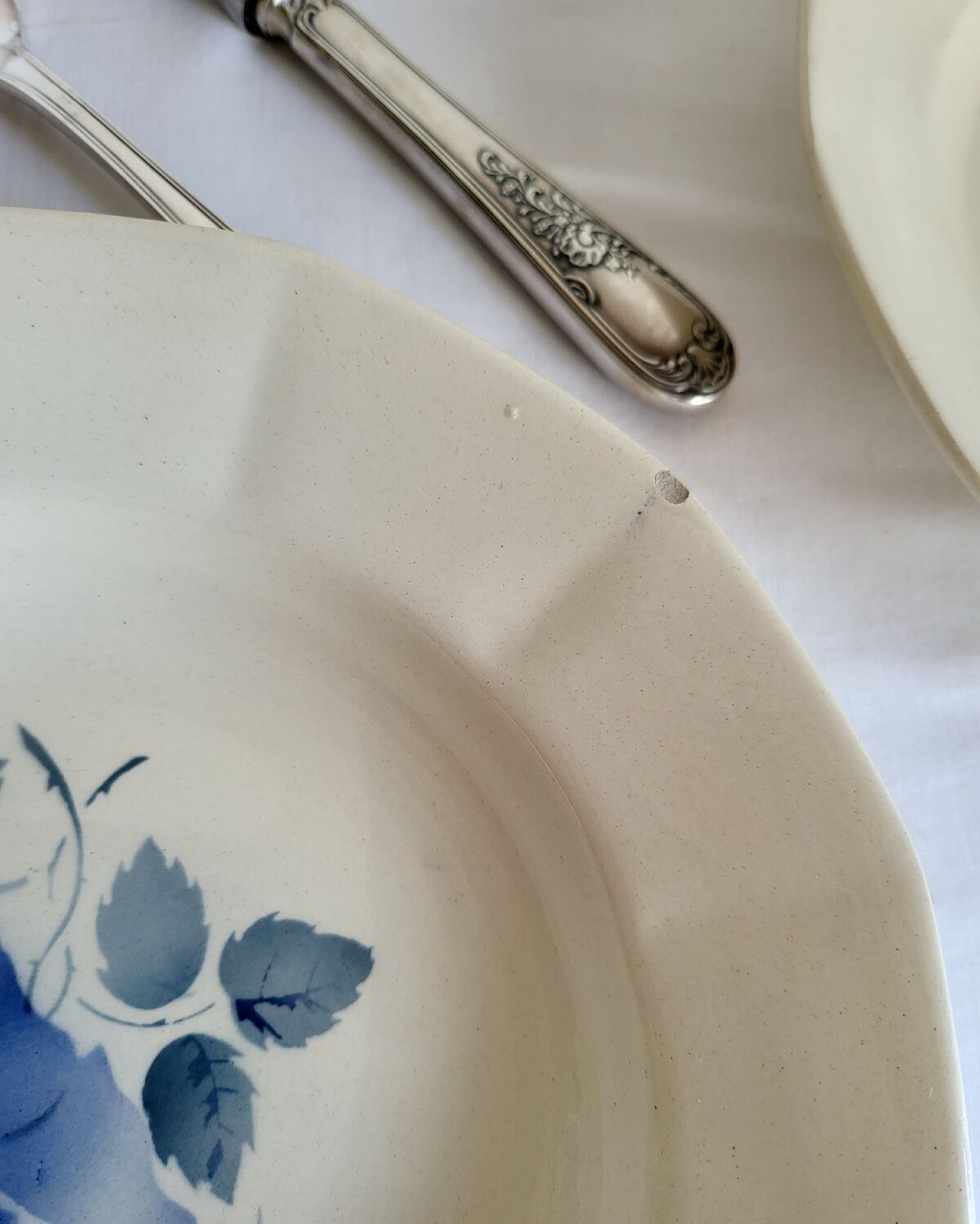 7 vintage deep plates in earthenware from Digoin Sarreguemines