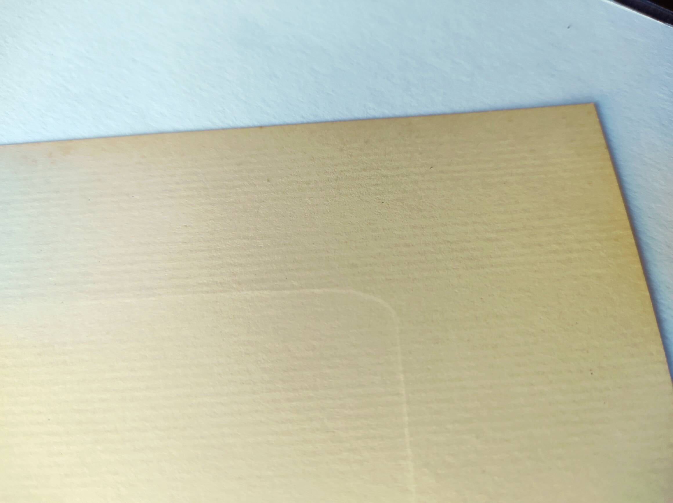 Vintage antique botanical -1955- Dalea double- engraving by PJ. Redouté