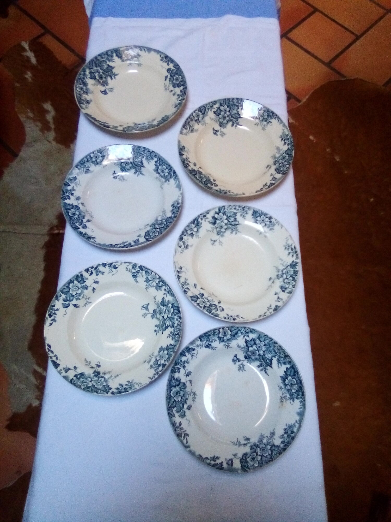 6 Marie Louise hollow plates / Hamage Wolf Mill