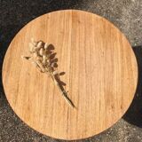 Raw wood coffee table