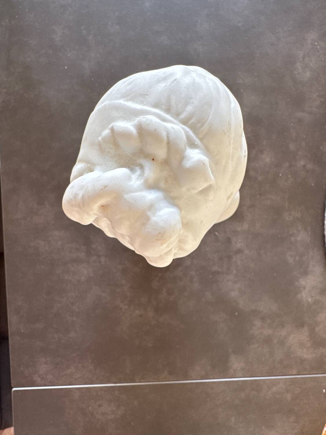 Louise porcelain bust