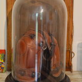 Glass bell globe