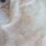 Skin several shades goat