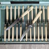 Ivory handle knives