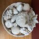 Trompe l'oeil fruit cut in white earthenware by Jean Roger, circa 1960.