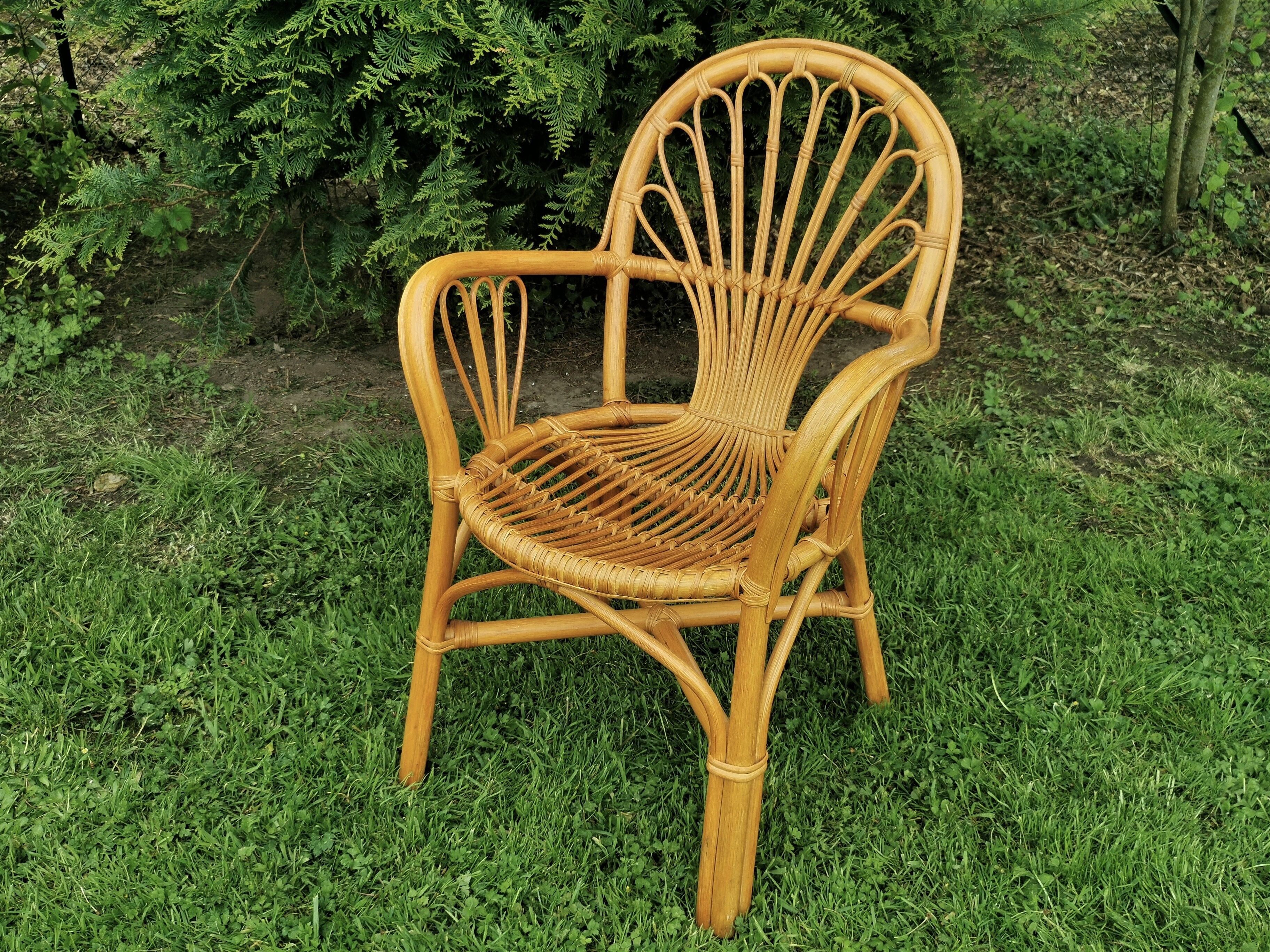Rattan chairs