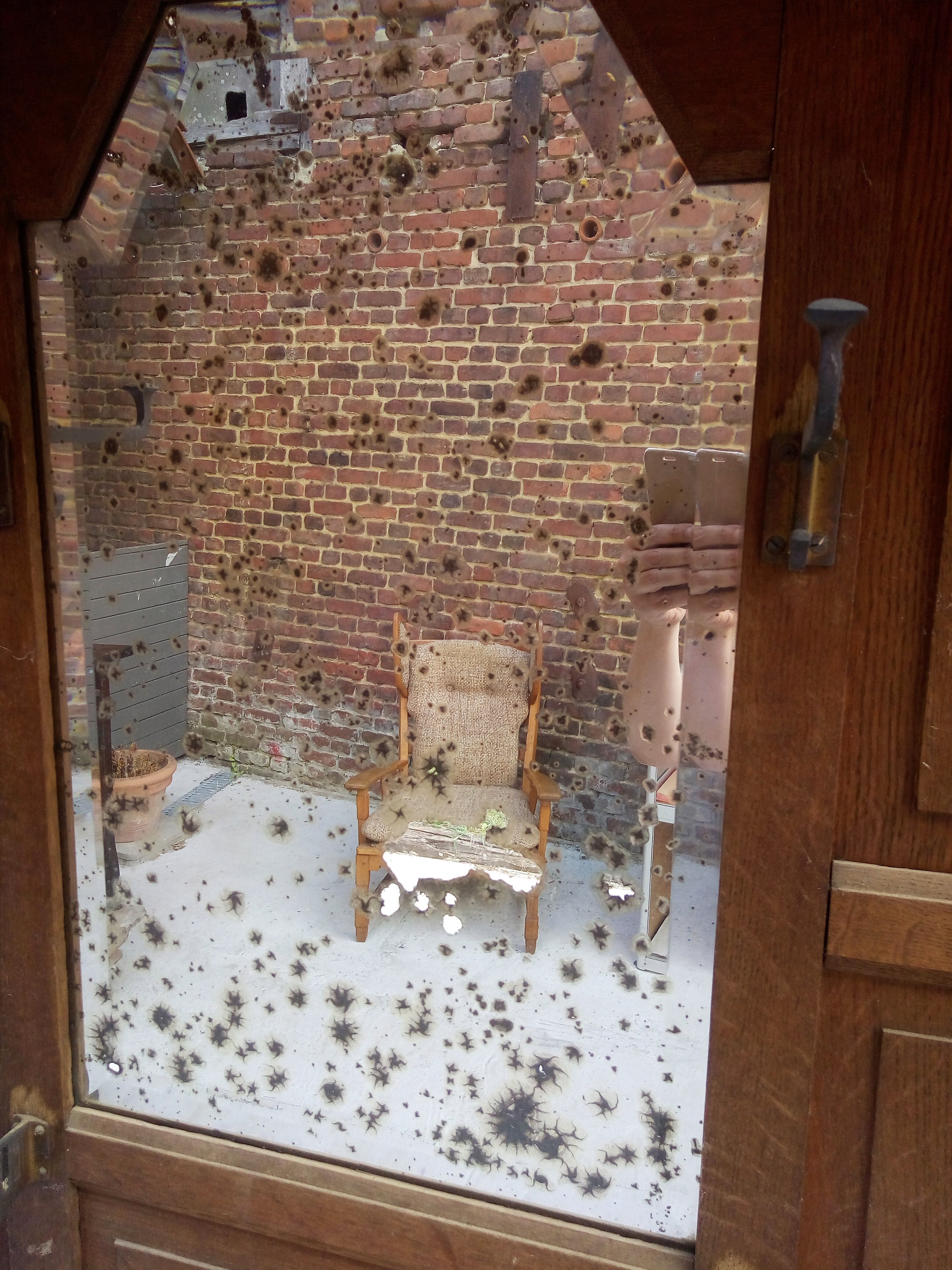 Early 20th entry locker