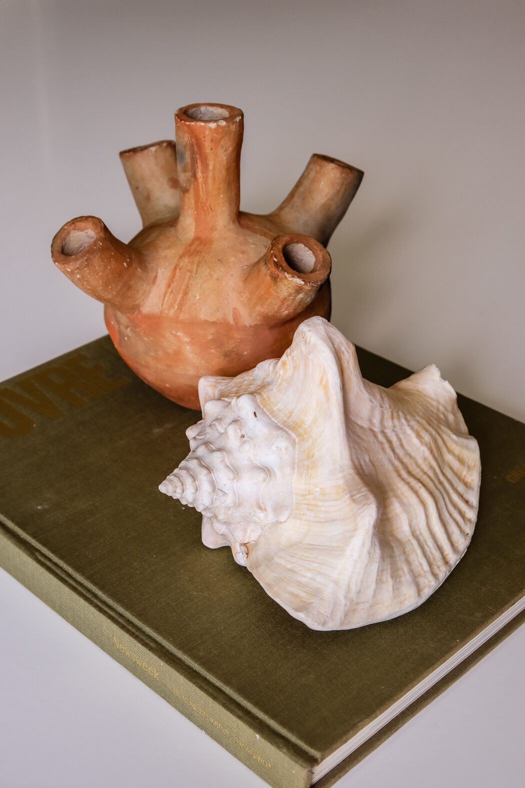 Shell