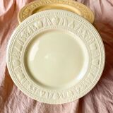12 vintage plates